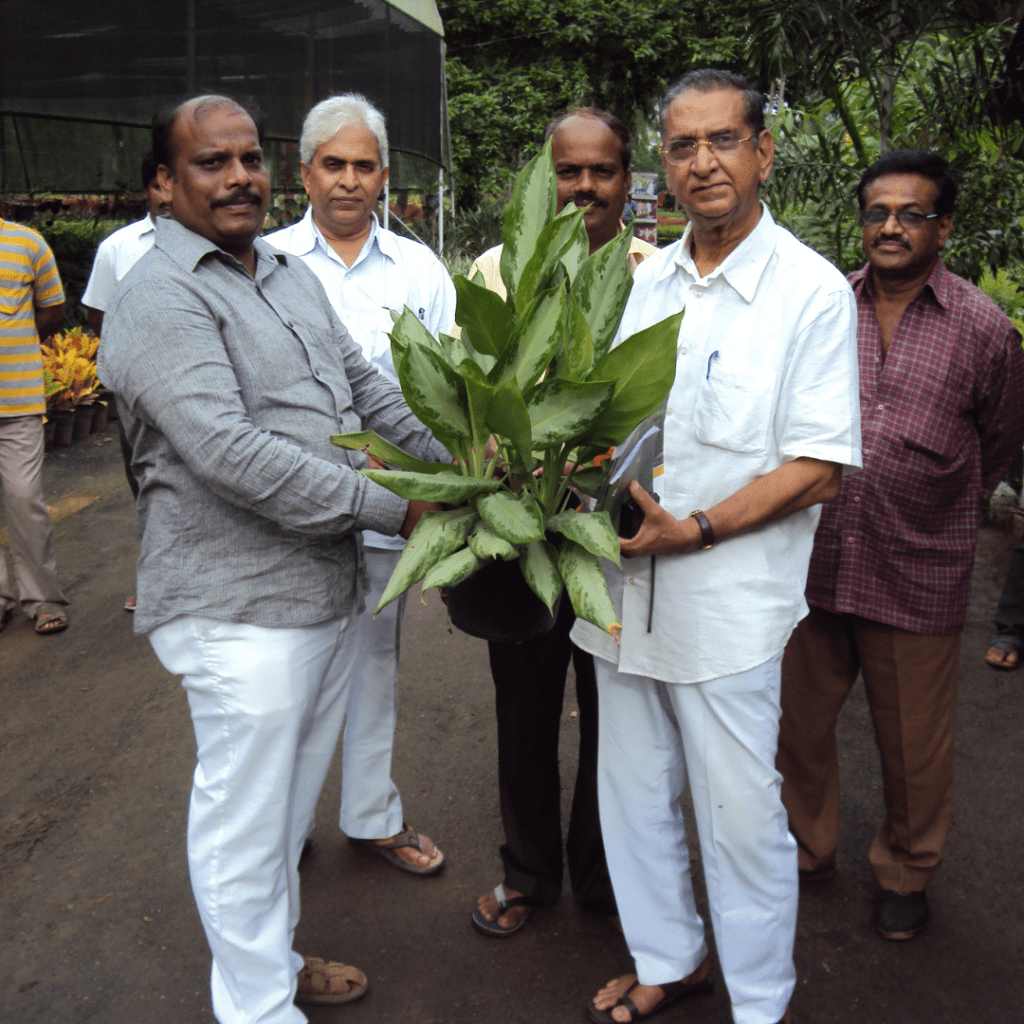 Gollapudi  Maruthi Rao Garu